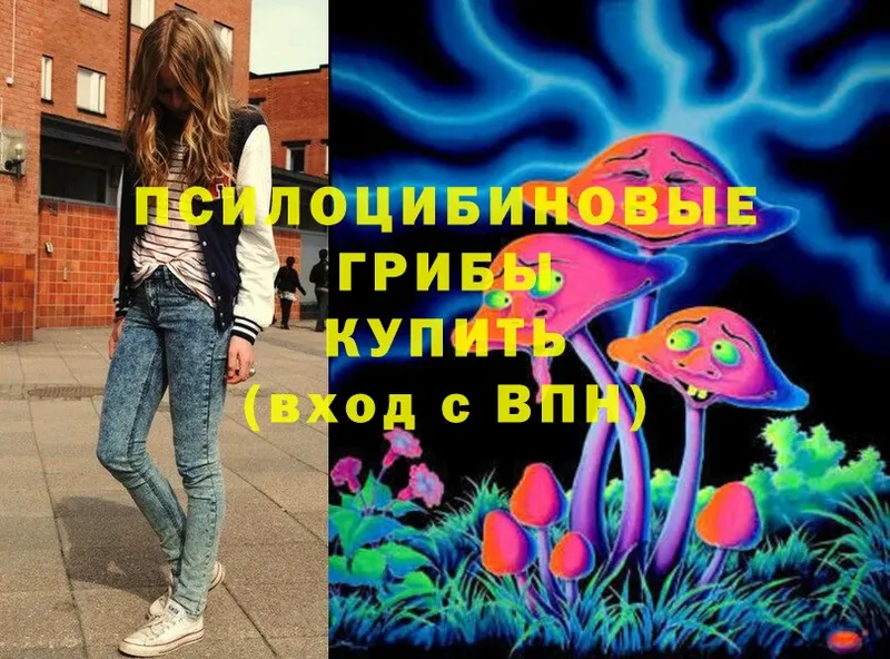 мориарти состав  Чебоксары  Галлюциногенные грибы MAGIC MUSHROOMS 